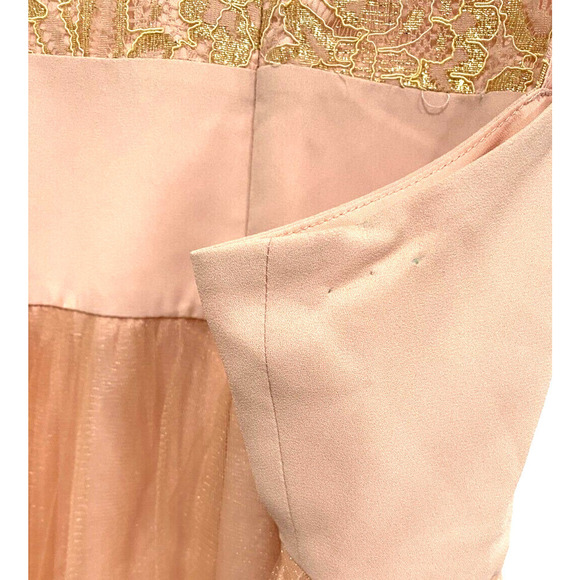 BCBGeneration Faded Rose Color lace top Tulle base maxi dress women's size 12 - Picture 8 of 8